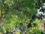 820 Bayou Avenue - Photo 8