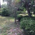 3152 Clewiston Street - Photo 47
