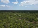 0 Belmonte Drive - Photo 6