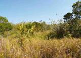 2536 Moupin - Photo 1