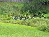 4643 Fern Pine Drive - Photo 25