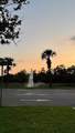 8125 Resort Village Drive - Photo 11