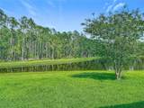 9942 Sweetleaf Street - Photo 46