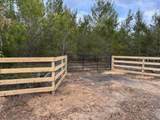 9940 Black Bear Lane - Photo 5