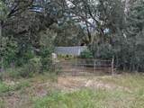 109 Rhododendron Lane - Photo 1