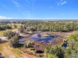  Pine Island Road - Photo 6