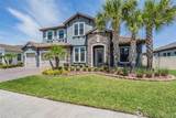 29043 Picana Lane - Photo 12