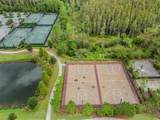 29043 Picana Lane - Photo 69