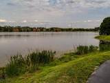 9584 Lake Chase Island Way - Photo 11