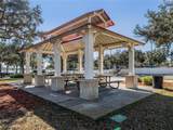 1323 Normandy Drive - Photo 53