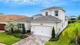 32740 Tree Of Life Avenue - Photo 3