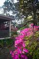 748 Florence Avenue - Photo 41