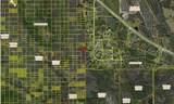  Holopaw Groves Road - Photo 2