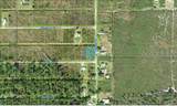 202 Orchid Drive - Photo 4