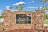 17657 Windy Pine Street - Photo 24