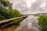 8335 Lake Burden Circle - Photo 48