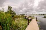 8335 Lake Burden Circle - Photo 49