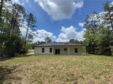 2523 Andromedae Drive - Photo 9