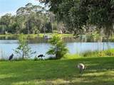 1405 Periwinkle Avenue - Photo 3