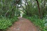 1405 Periwinkle Avenue - Photo 8