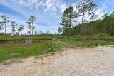 14612 Bray Road - Photo 69