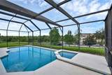 8113 Sun Palm Drive - Photo 31