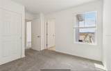 4325 Switchgrass Lane - Photo 12