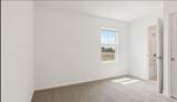 4325 Switchgrass Lane - Photo 8