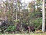 20828 Quinlan Street - Photo 1
