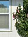 2433 Lydia Way - Photo 55