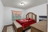 189 Luxmore Road - Photo 21