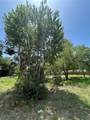 42100 Ash Avenue - Photo 6