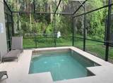 8894 Candy Palm Road - Photo 29