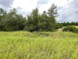 1362 Homosassa Drive - Photo 2