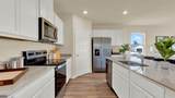 2224 Albatross Nest Drive - Photo 12