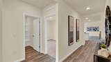 2224 Albatross Nest Drive - Photo 3