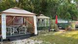31701 State Road 44 - Photo 11