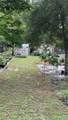 31701 State Road 44 - Photo 4