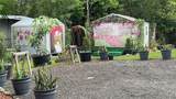 31701 State Road 44 - Photo 6