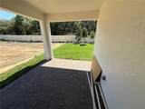 441 Lady Palm Street - Photo 16