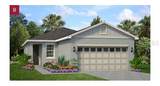 746 Lemon Avenue - Photo 1