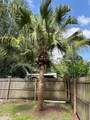 34 Bob White Street - Photo 25