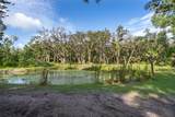 411 Racoon Trail - Photo 10