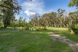411 Racoon Trail - Photo 8