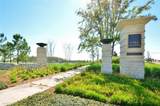 14124 Dove Hollow Drive - Photo 51