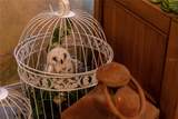 2041 Lacie Jo Lane - Photo 29