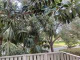 508 Sandtree - Photo 5