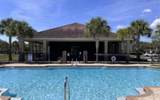 2183 Leather Fern Drive - Photo 19