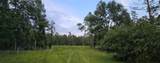  Parcel Id: -P 1/495 Lots 2 & 3 Tall Timbers S/D - Photo 8