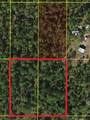 0 Holopaw Groves Road - Photo 1